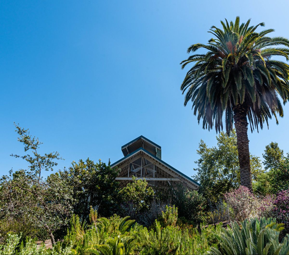 8 Things To Do in Orange County Discover The Hidden