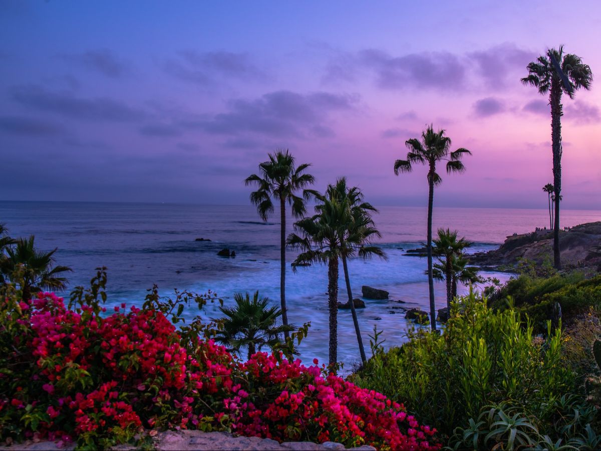 8 Things To Do in Orange County Discover The Hidden