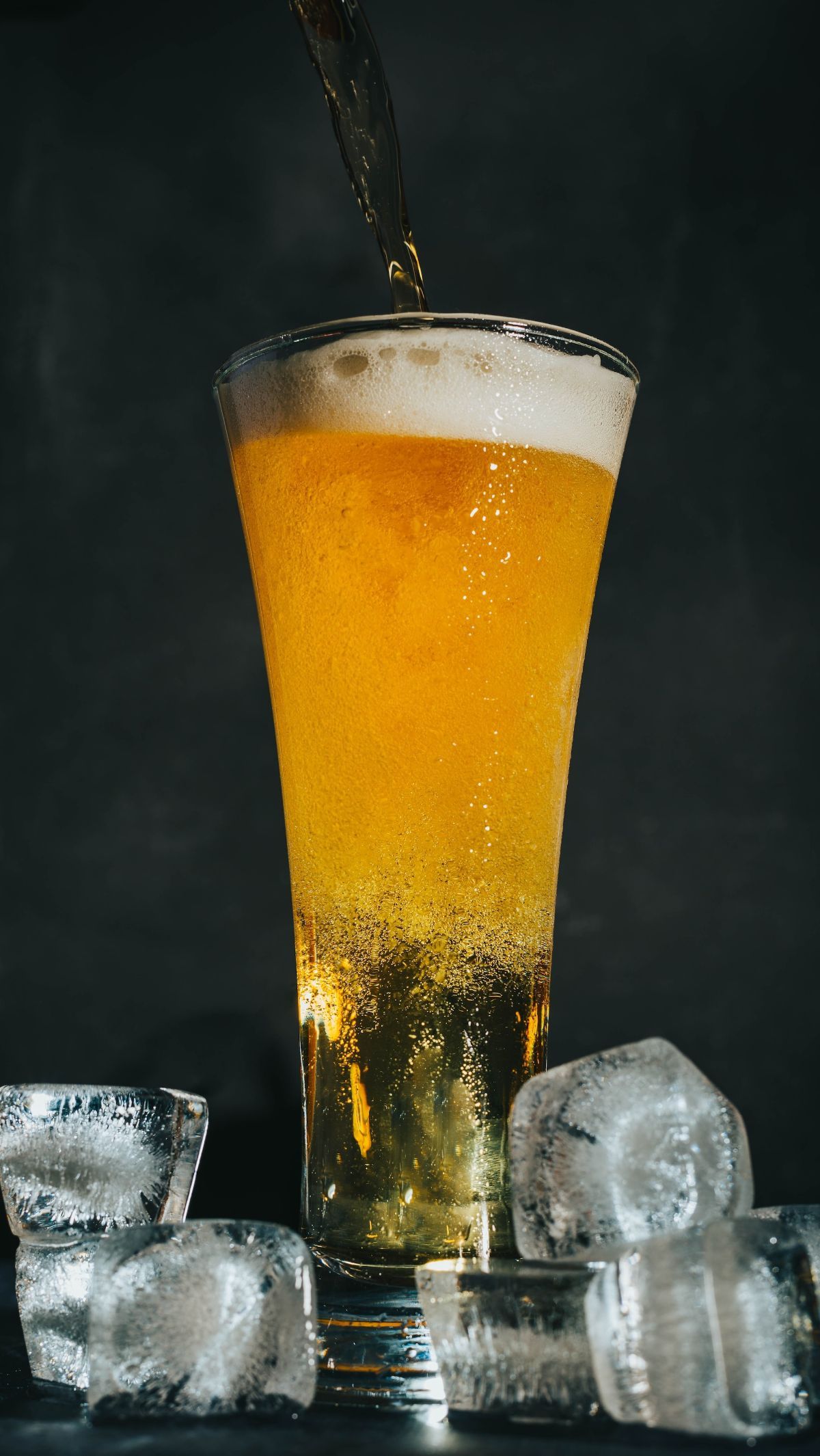 Drug Dog Vs. Alcohol: A Surprising Test Result - zlry86l