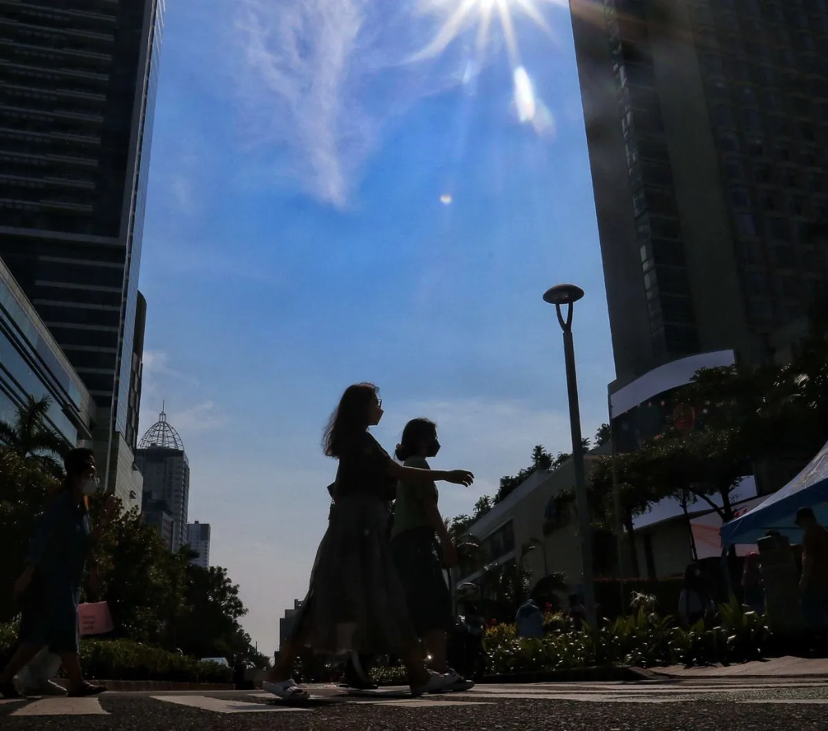 Pohon ini menjadi saksi dan mengungkapkan betapa dahsyatnya kekuatan badai matahari, serta potensi yang ditimbulkannya.