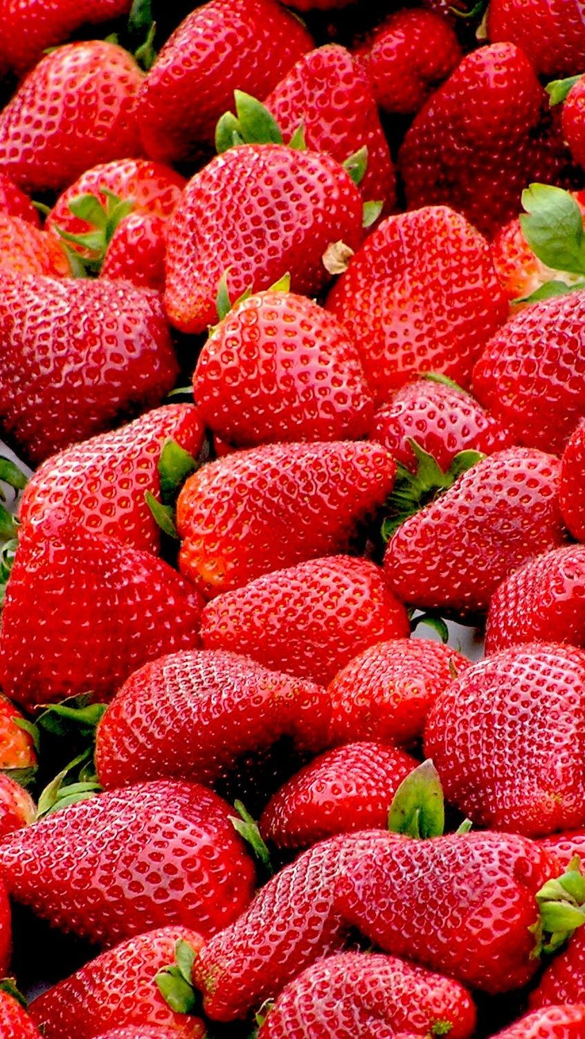 Apa Itu Strawberry Generation? Mengapa Mereka Rapuh? Ini Penjelasannya