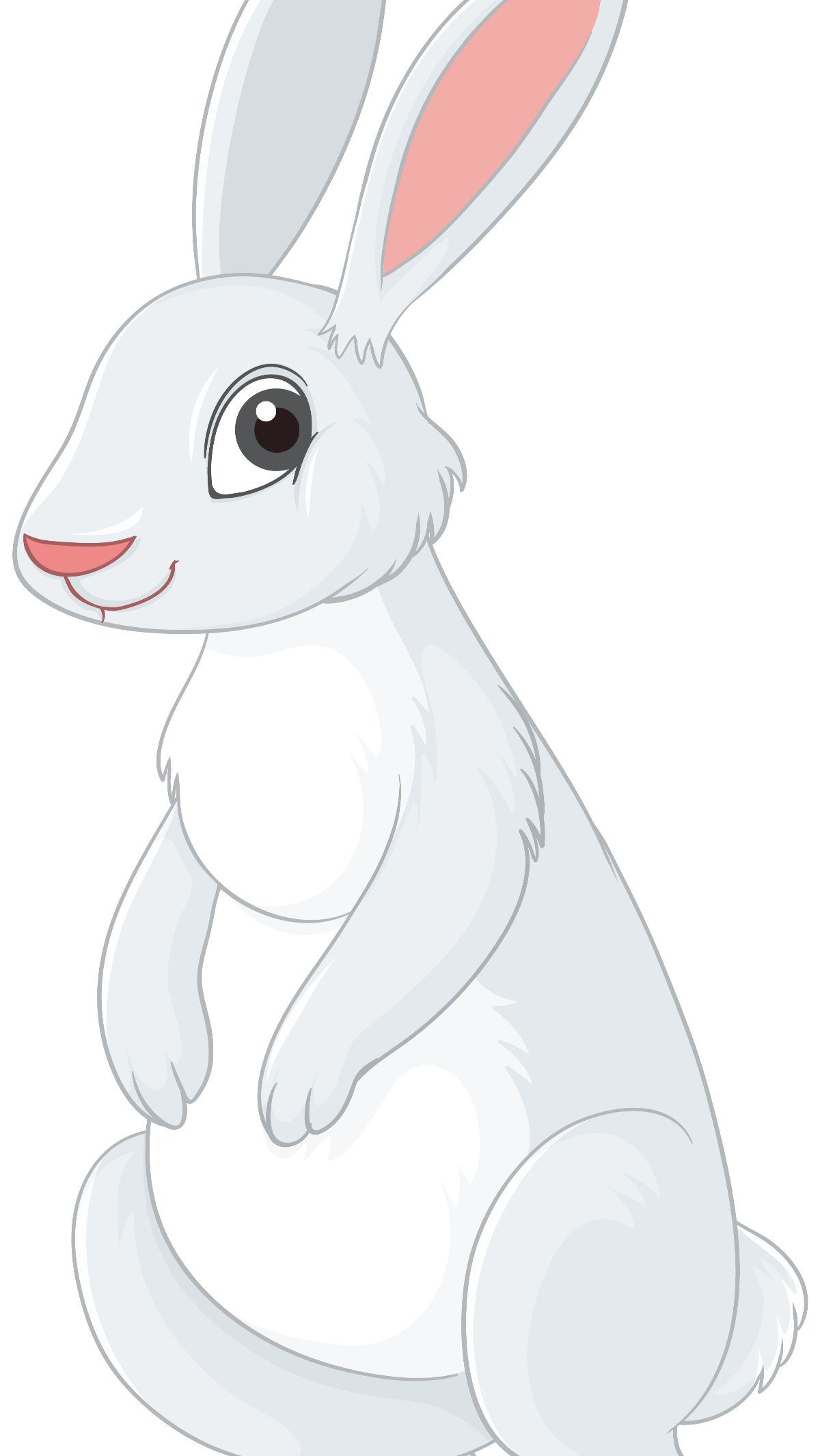How To Draw A Bunny A Complete StepByStep Guide And Tips For Beginners trstdly trusted