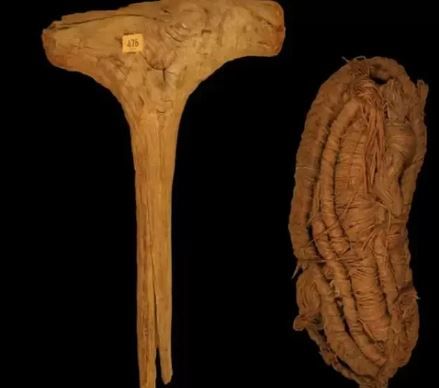 Sandal Tertua di Eropa Ditemukan Dalam Gua, Terbuat dari Anyaman