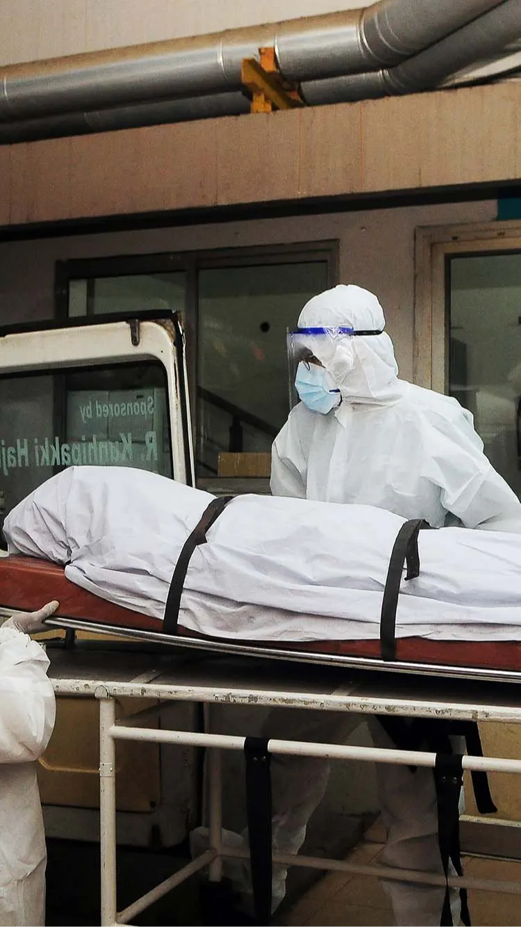 Bahaya Virus Nipah, Asal Usul dan Efek Mematikannya pada Manusia