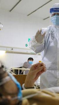 Bahaya Virus Nipah, Asal Usul dan Efek Mematikannya pada Manusia