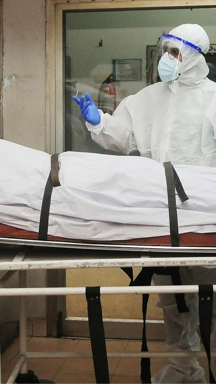 Bahaya Virus Nipah, Asal Usul dan Efek Mematikannya pada Manusia