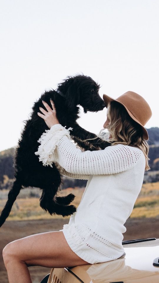 Top 7 Worst Dog Breeds For FirstTime Owners trstdly trusted news in