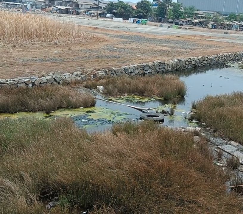 Tembok Pembatas Laut dan Daratan Jakarta Bocor, Begini Penampakannya