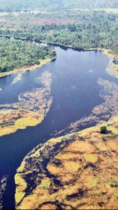 Potret Sungai Paling Gelap di Dunia, Airnya Hitam Pekat