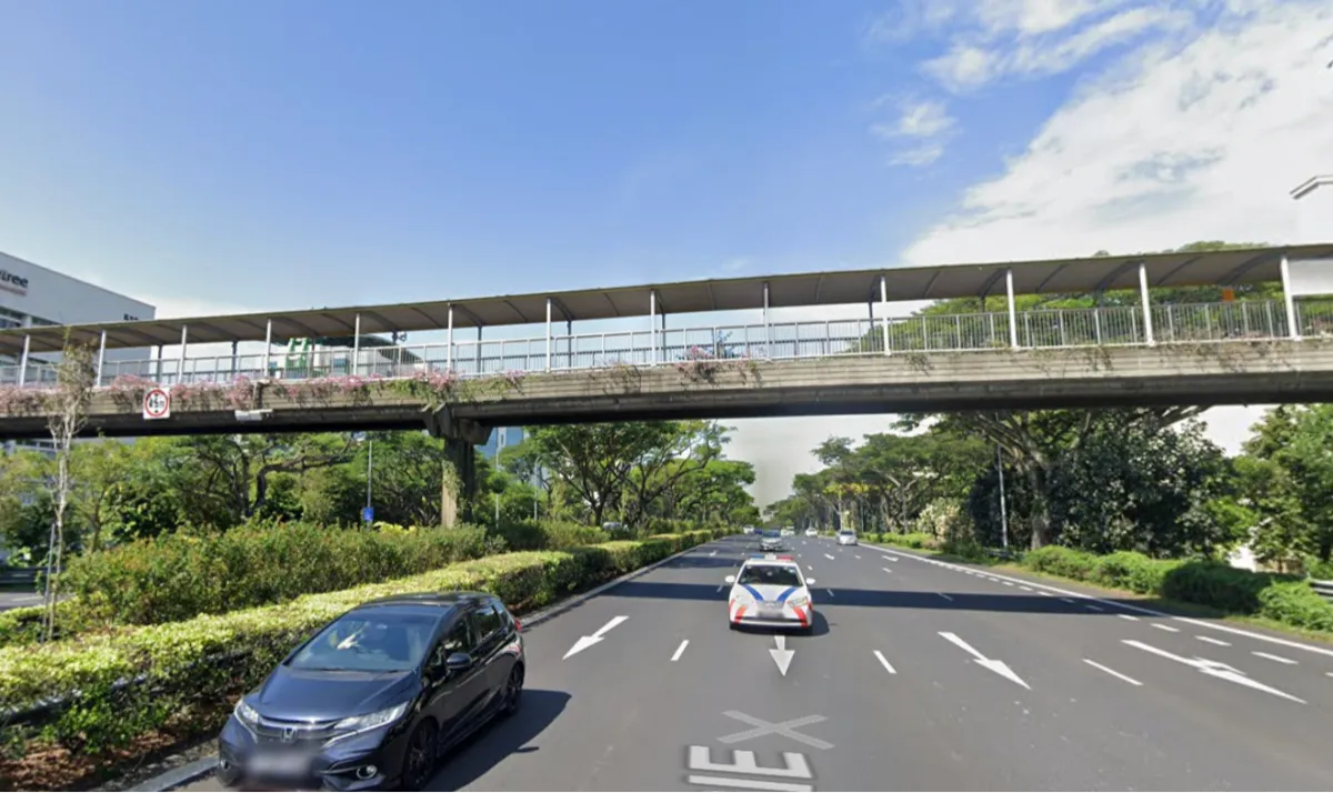 This bridge has 132 steps connecting Blk 613 Bedok Reservoir Road and the industrial area near Chai Chee Lane. 