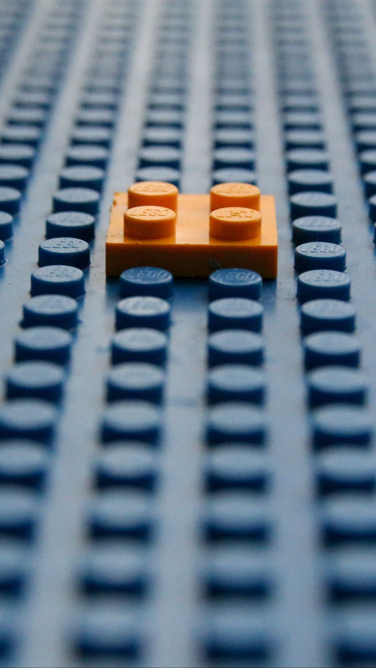 LEGO is a popular brand owned by a Danish company named The LEGO Group.