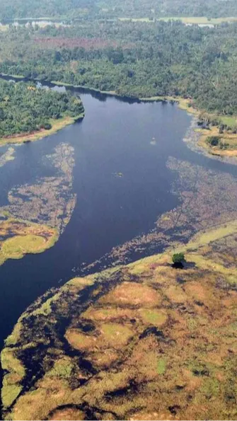 Scientists Discover the Darkest River in the World