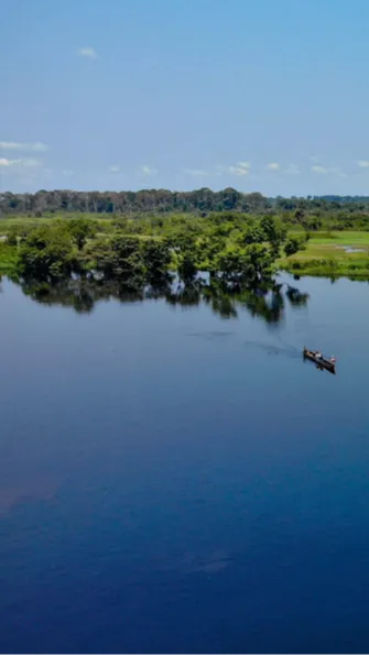 Scientists concluded that the highly dark color of the water is due to the high concentration of dissolved organic matter, which comes from the surrounding rainforest.