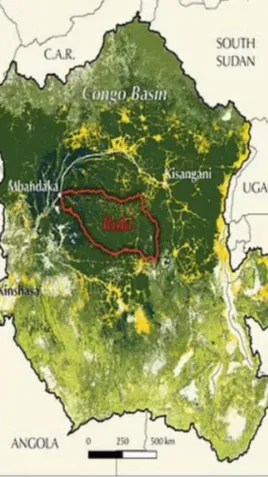 Although the Ruki covers only one-twentieth of the Congo Basin, it contains one-fifth of the Congo's total dissolved carbon.