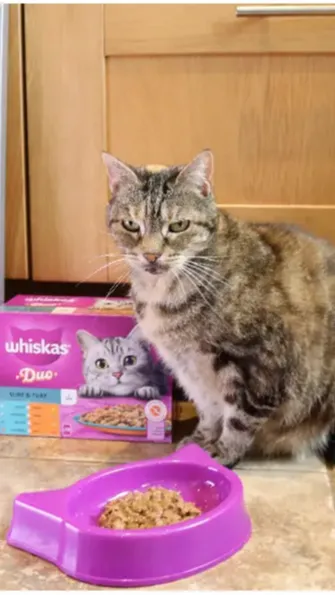 Measuring sound using a smartphone app can produce varying results, but in Bella's case, the results are reliable.