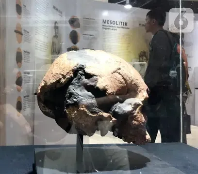 3. Sangiran Menyimpan Lebih dari 100 Fosil Manusia Purba