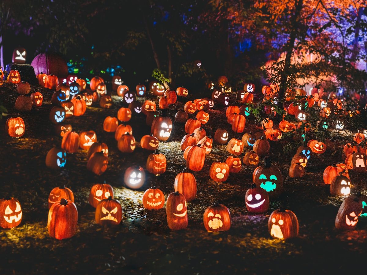 10-things-to-do-on-halloween-night-for-hauntingly-fun-and-frightening