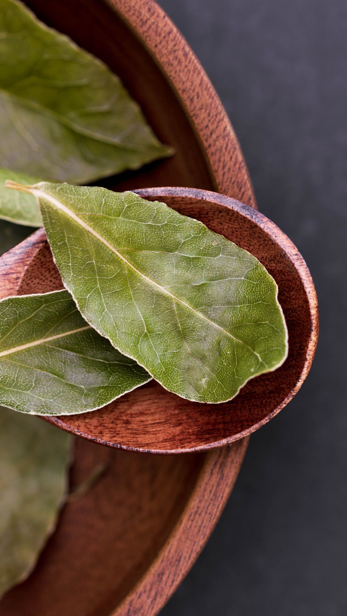 Manfaat Teh Daun Salam Untuk Kesehatan, Bantu Kontrol Gula Darah ...