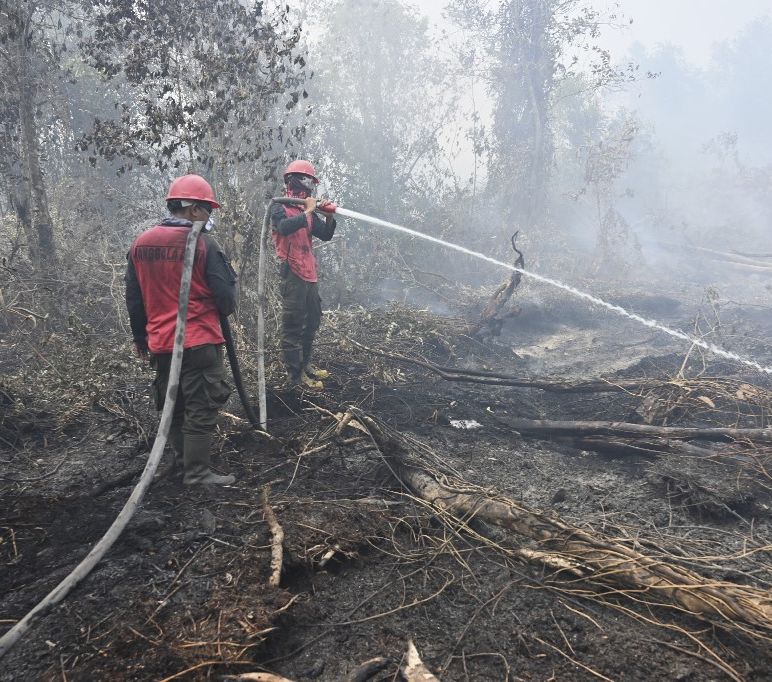 Provinsi Sumatera Selatan tengah dikepung kabut asap kebakaran hutan dan lahan (karhutla). Beragam upaya dilakukan untuk memadamkan api agar tidak meluas.