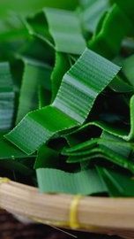 6. Daun Pandan: Aroma Wangi dan Warna Hijau<br>