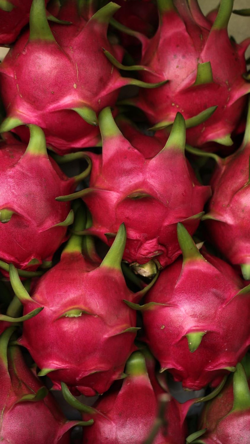 8. Buah Naga: Warna Merah Cerah dengan Banyak Manfaat