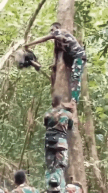 Operasi di Tengah Hutan Belantara, Puluhan Prajurit TNI Kalang Kabut Gara-Gara Satu Makhluk Kecil
