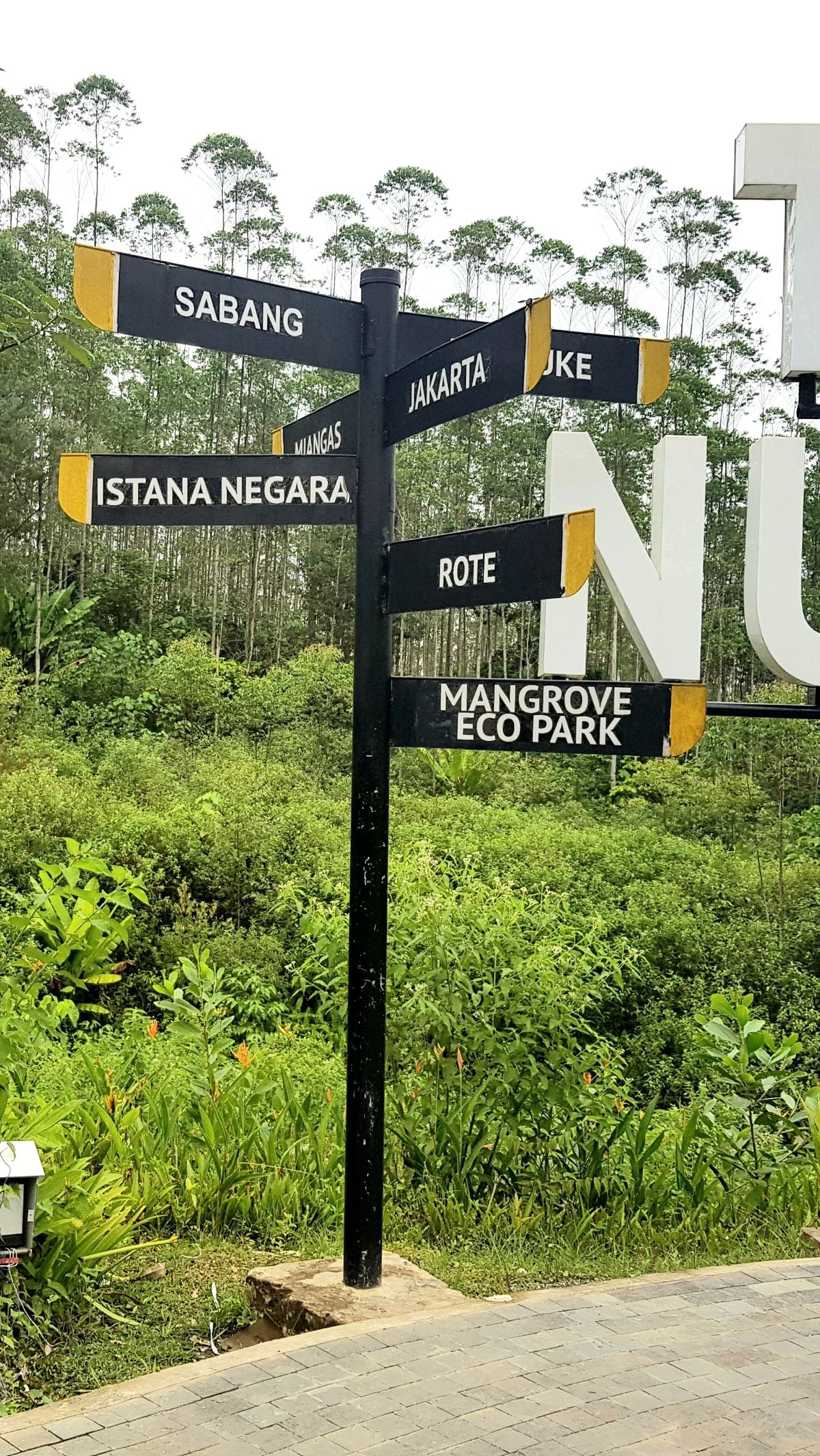 Sederet Tantangan Perencanaan Pembangunan IKN Nusantara