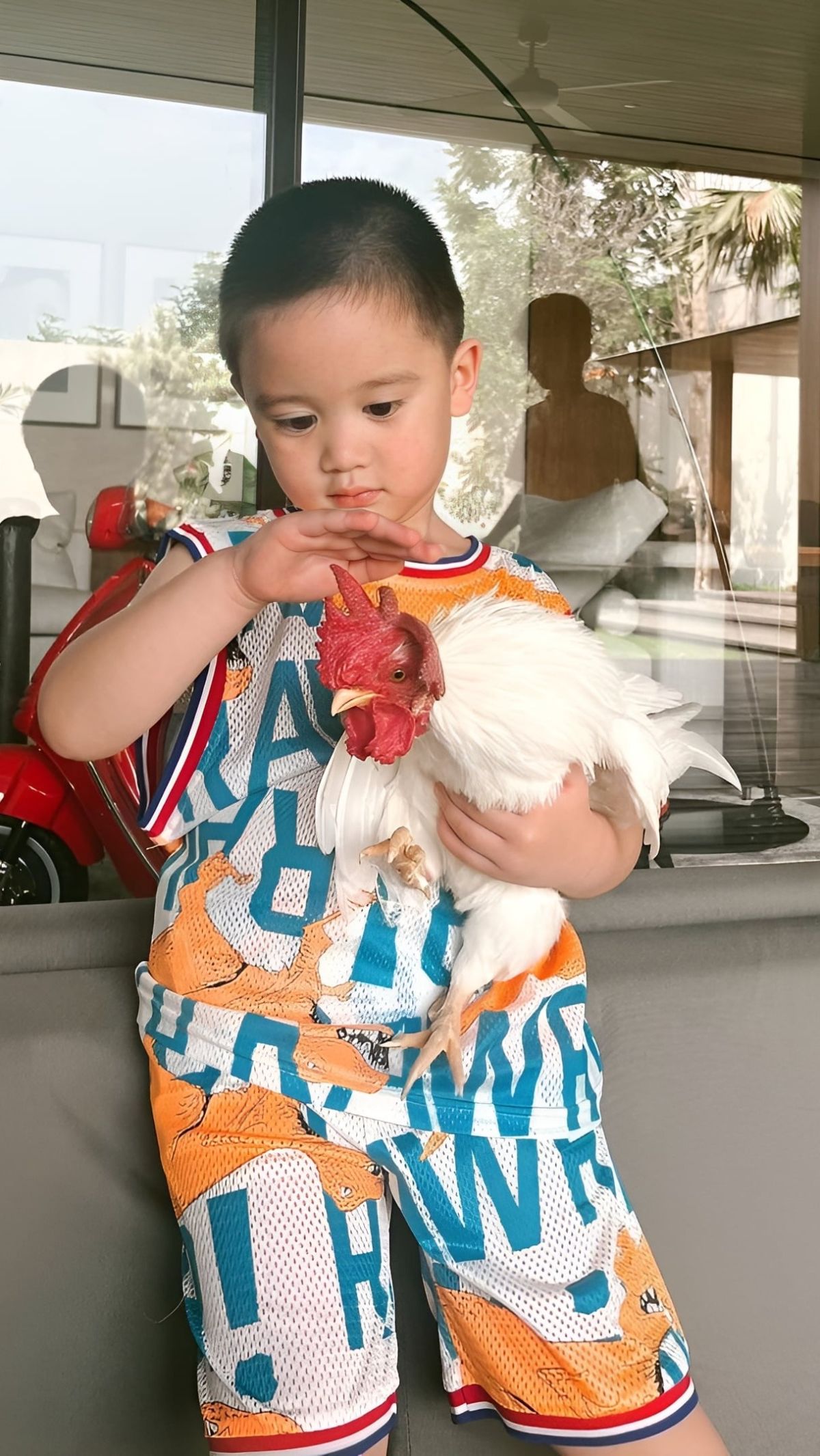 Super Cute! Potret Putra Citra Kirana Manjakan Ayam Warisan Kakek