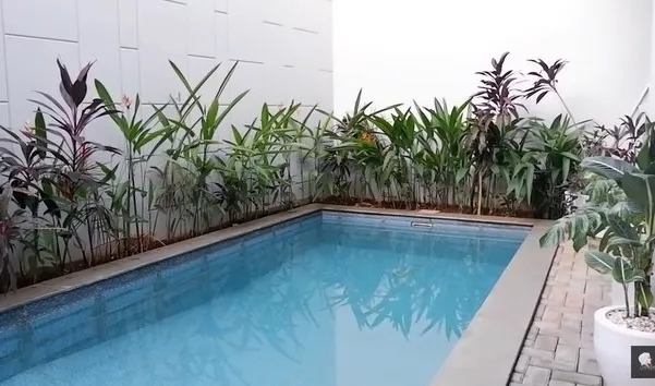 Kolam renang