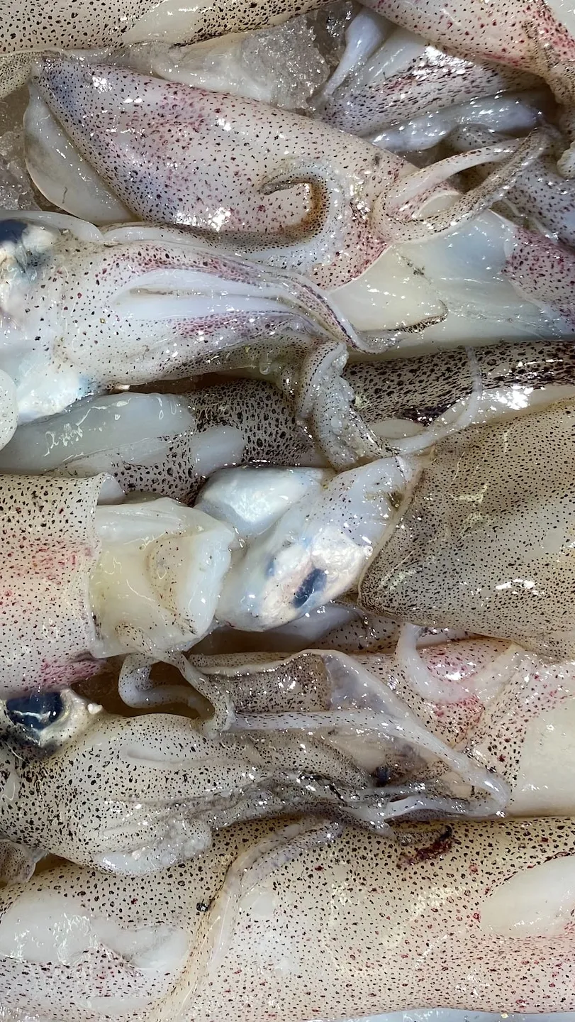 Resep Cumi Saus Mentega ala Kaki Lima dan Tips Memilih Cumi yang Masih Segar