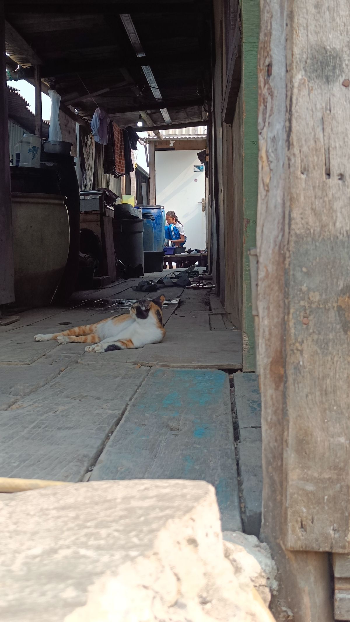 Kampung Apung Muara Baru, Potret Kemiskinan 'Ekstreme' di Pesisir Jakarta