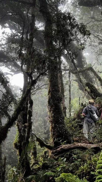 Dikira Sudah Punah, Mamalia yang Bisa Bertelur dan Hidup 200 Juta Tahun Lalu Ini Kembali Ditemukan di Papua, Begini Potretnya