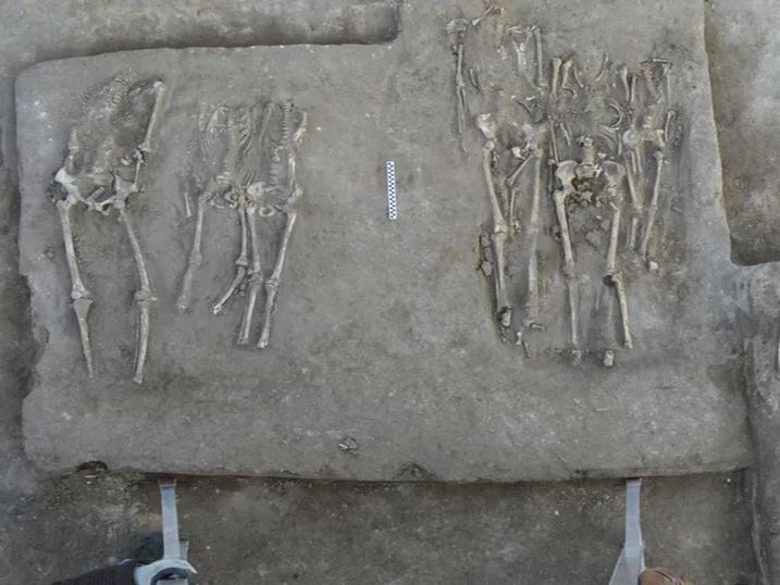 41 Kerangka Manusia Tanpa Kepala Ditemukan di China, Ungkap Konflik Mengerikan 4.400 Tahun Lalu