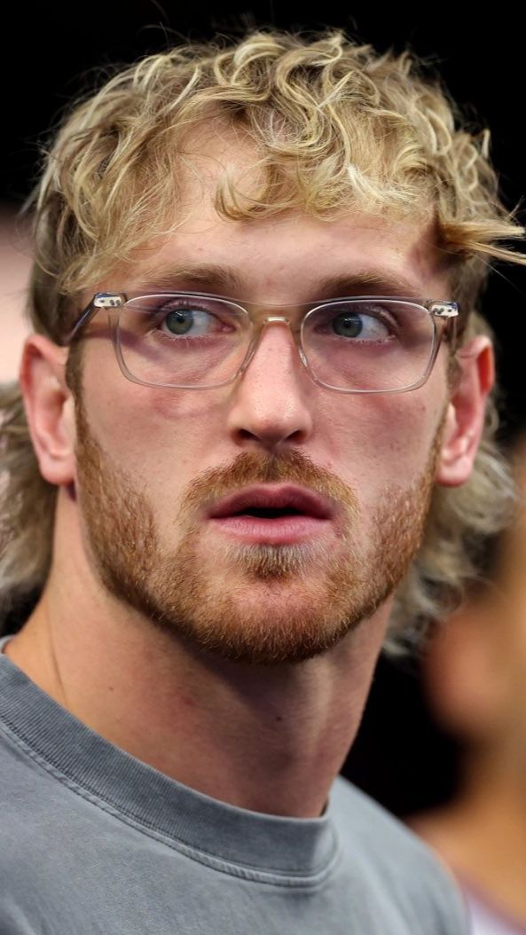 Logan Paul Says He Retires From Boxing And Focus To WWE | Trstdly ...