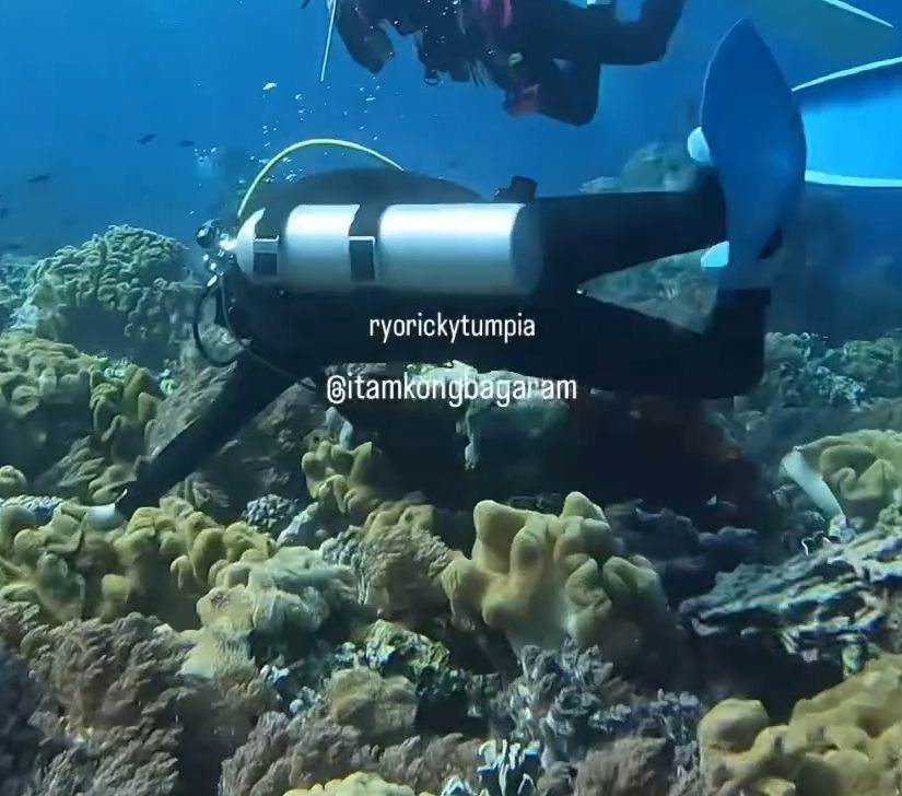 Ngeri! Video Detik-Detik Penyelam Dihantam Gempa Magnitudo 7,2 di Dasar Laut Banda, Perubahan Airnya Mengejutkan