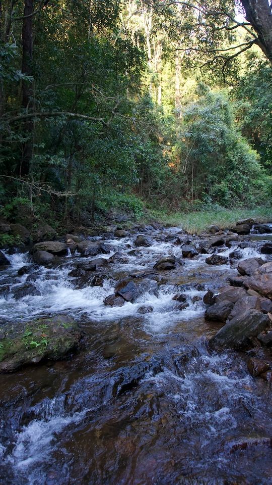 4. Chikmagalur