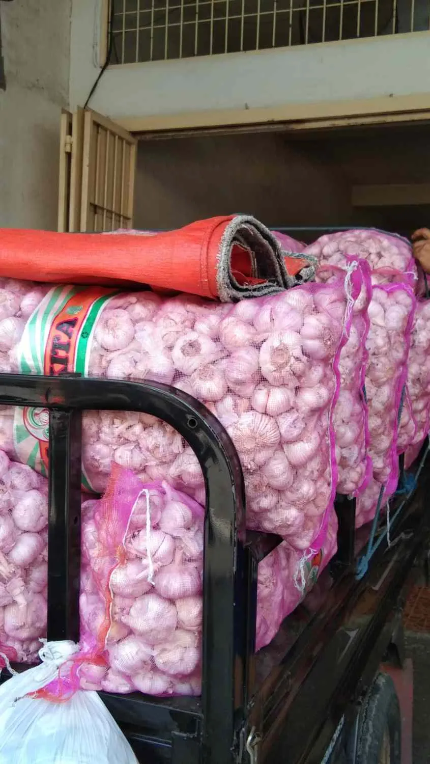 Data BPS Ungkap Indonesia Impor Bawang Putih dari Jerman