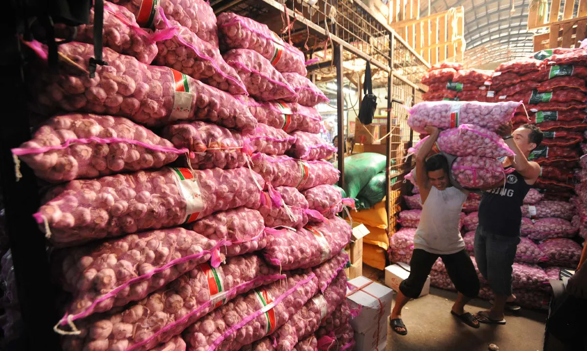 Data BPS Ungkap Indonesia Impor Bawang Putih dari Jerman