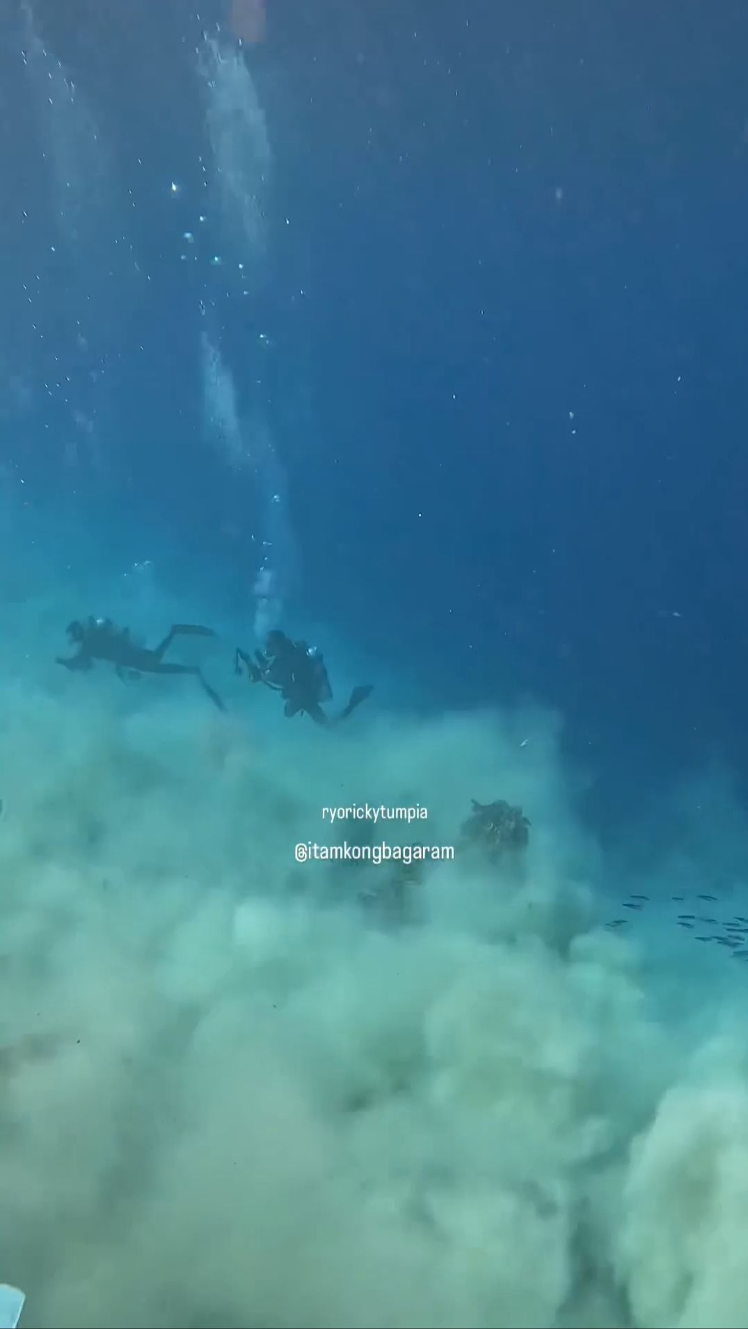 Ngeri! Video Detik-Detik Penyelam Dihantam Gempa Magnitudo 7,2 di Dasar Laut Banda, Perubahan Airnya Mengejutkan