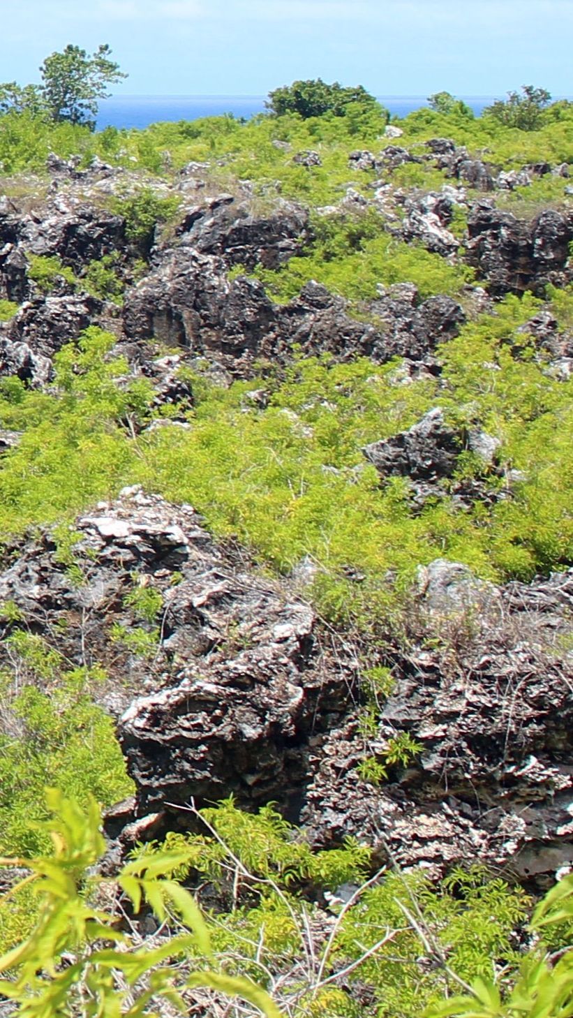 2. Kiribati