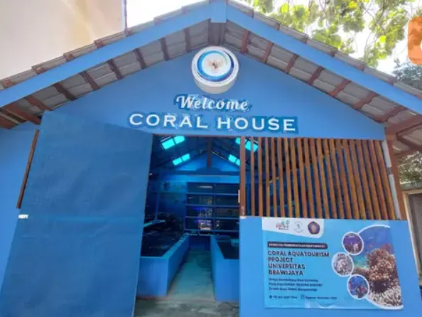 Menyaksikan Pernak-pernik Biota Laut di Coral House Banyuwangi, Sensasinya seperti di Laut Lepas