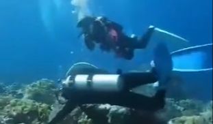Dalam video yang dibagikan, memperlihatkan efek yang ditimbulkan akibat gempa saat berada di dalam laut.