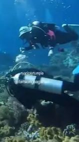 Proses terjadinya gempa bumi sendiri dibedakan berdasarkan beberapa jenis berbeda. Salah satunya ialah gempa tektonik.