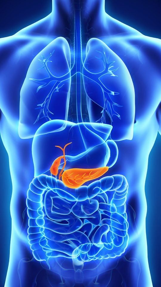 <b>Cara Menjaga Pankreas agar Tetap Sehat, Minimalkan Risiko Diabetes</b>