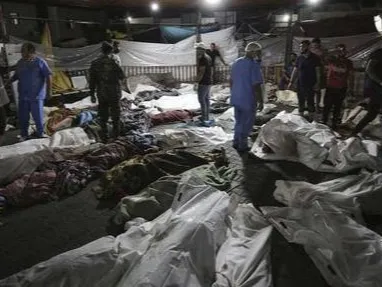 Video Mengerikan di Gaza, Mayat-Mayat Korban Serangan Israel Masih Tergeletak di Jalanan, Tak Ada yang Menguburkan