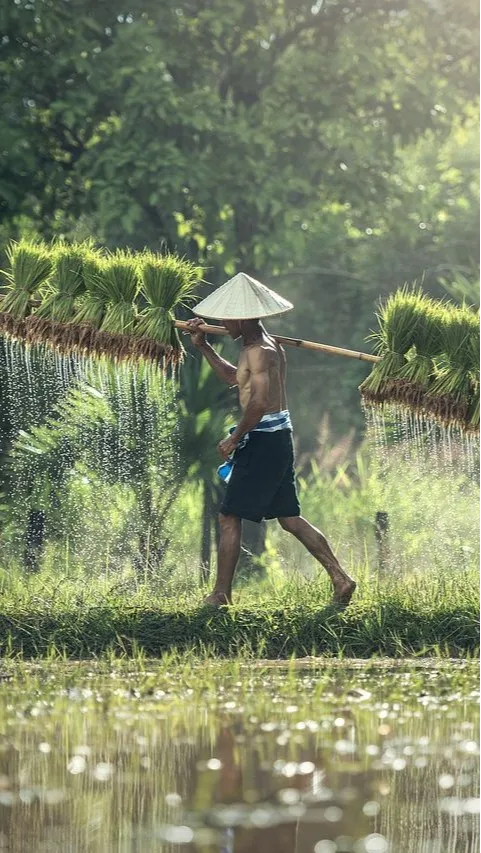Sering Dipandang Sebelah Mata, 4 Petani Ini Hidup Sukses dengan Omzet Ratusan Juta