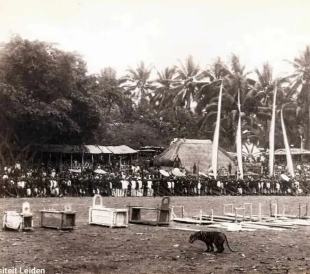 Warga Blitar Dulu Punya Tradisi Sadis Bunuh Harimau Ramai-ramai saat Idul Fitri, Ini Kisahnya