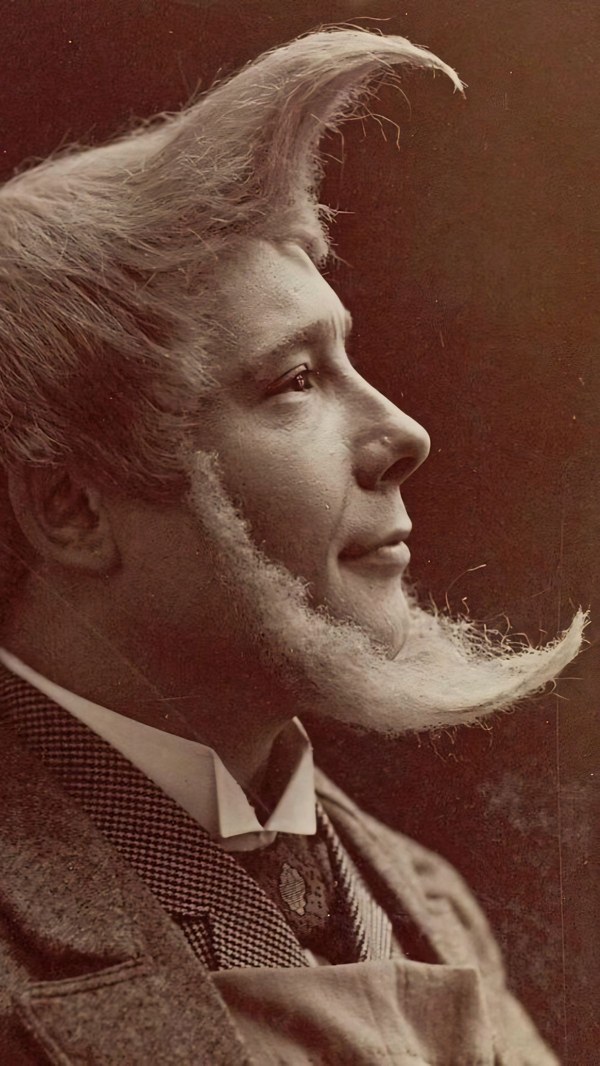 Gaya rambut unik tahun 1894 berbentuk bulan sabit.