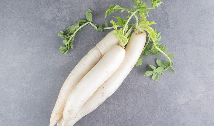 4. Lobak Daikon: Sayuran Akar Penjaga Kekebalan Tubuh