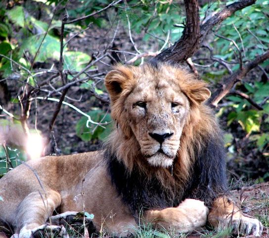 Top 5 Stunning Places To Visit In Gujarat
